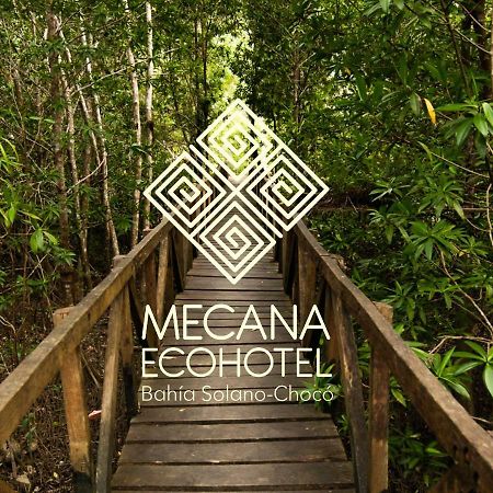 Jardin Botanico Del Pacifico Y Mecana Ecohotel 바이아 솔라노 외부 사진