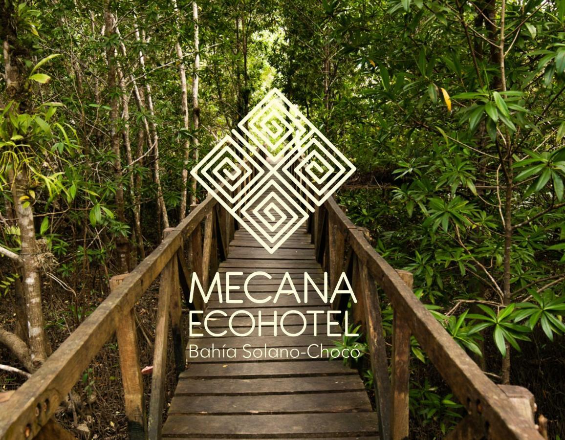 Jardin Botanico Del Pacifico Y Mecana Ecohotel 바이아 솔라노 외부 사진